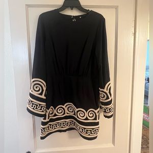Embroidered long sleeve HM dress.
